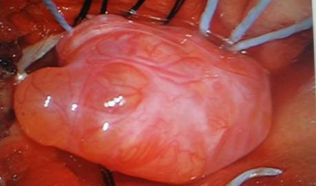 clip_image0021.jpg