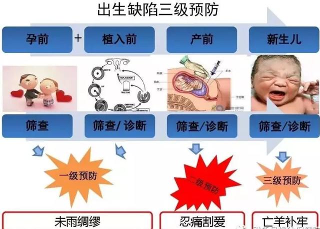 滕州人，這些產(chǎn)前篩查項目免費啦！是真的